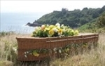 Casket Laying In A Meadow